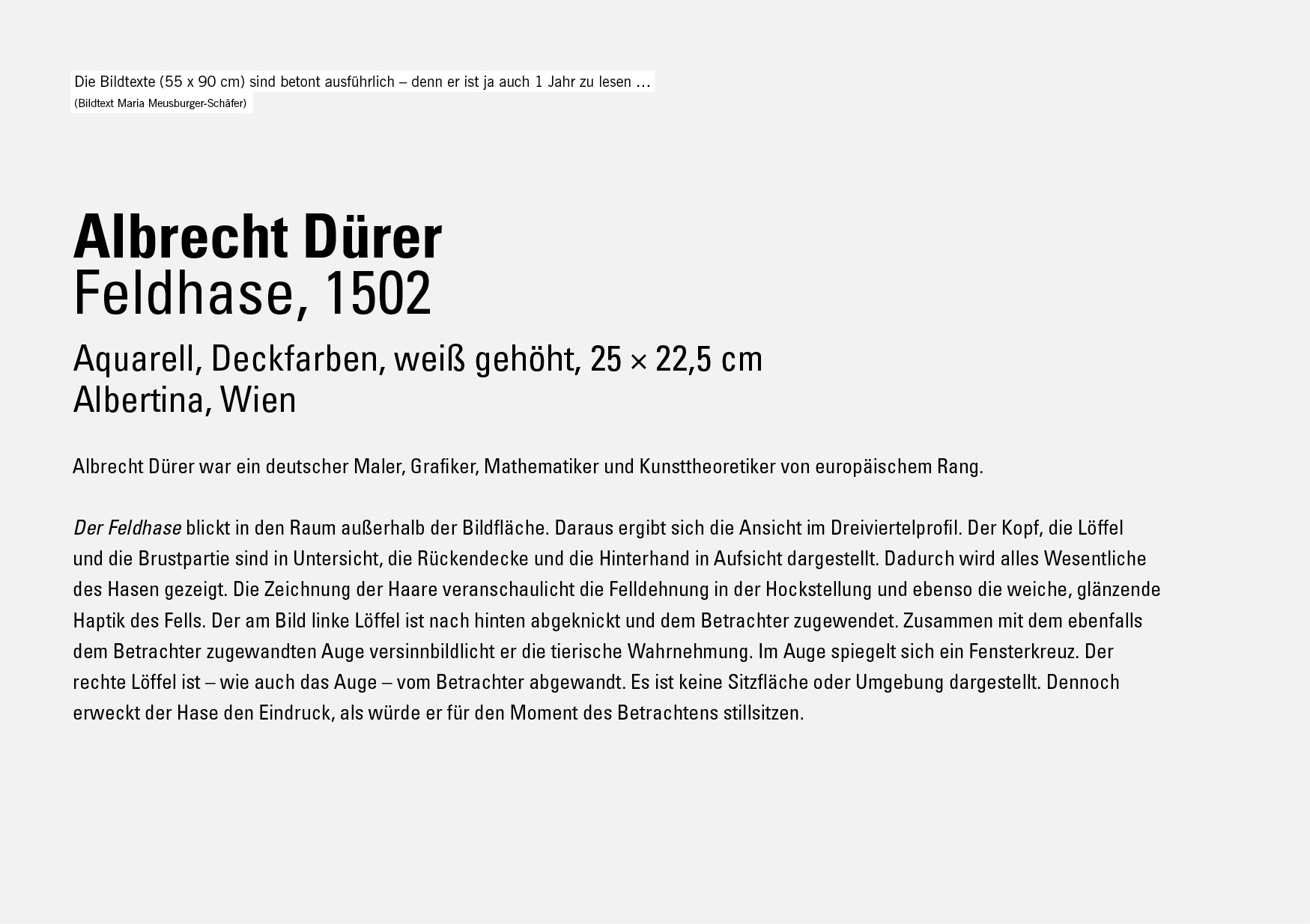 Die Bildtexte (55 x 90 cm) sind betont ausführlich – denn er ist ja auch 1 Jahr zu lesen … / Bildtext Maria Meusburger-Schäfer