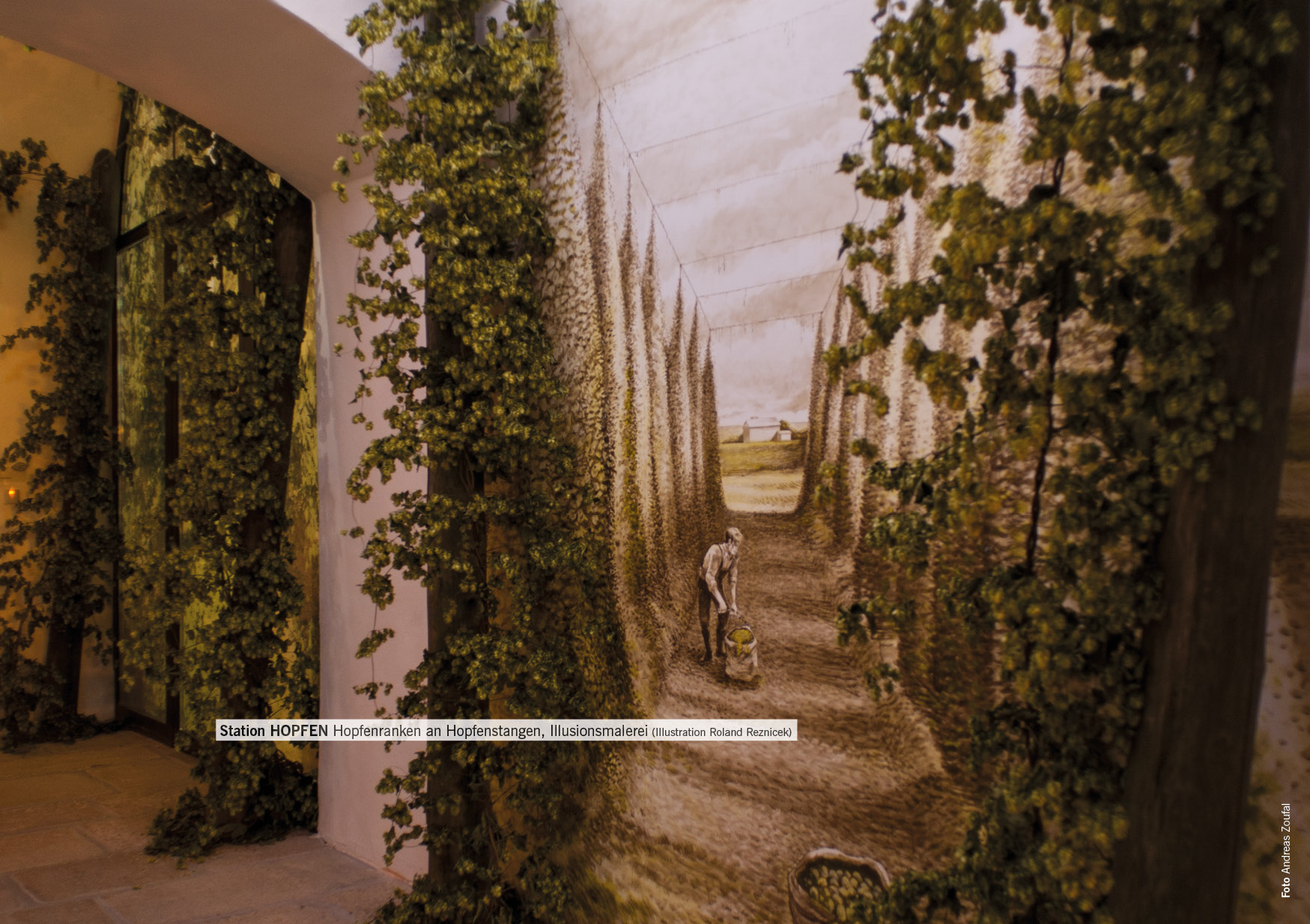 Station HOPFEN Hopfenranken an Hopfenstangen, Illusionsmalerei (Illustration Roland Reznicek)