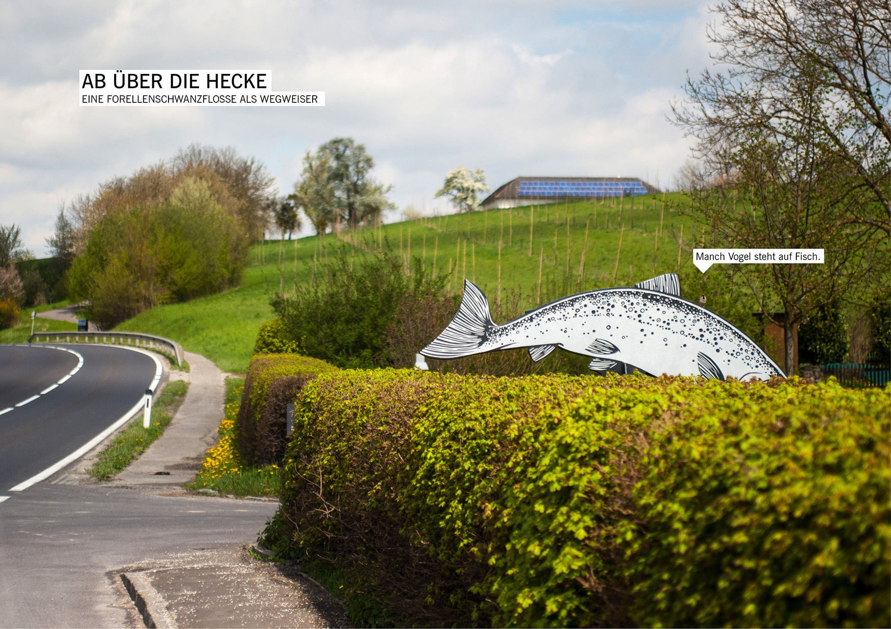 Eine Schwanzflosse als Signage der Fischerei Jagerbauer / Gerald Lohninger